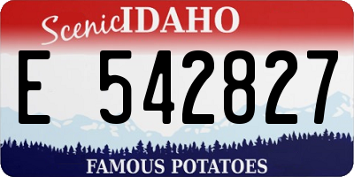 ID license plate E542827