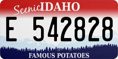 ID license plate E542828