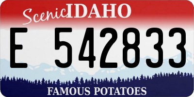 ID license plate E542833