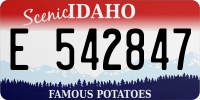 ID license plate E542847
