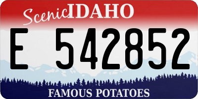 ID license plate E542852