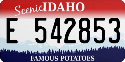ID license plate E542853