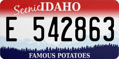 ID license plate E542863