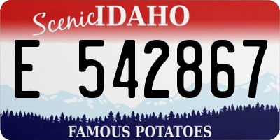 ID license plate E542867