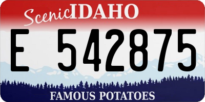 ID license plate E542875