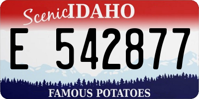 ID license plate E542877