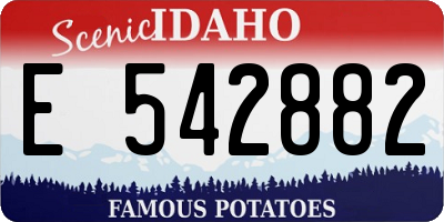 ID license plate E542882