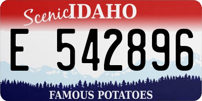 ID license plate E542896