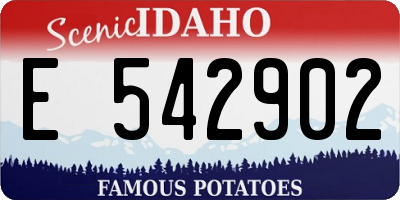 ID license plate E542902