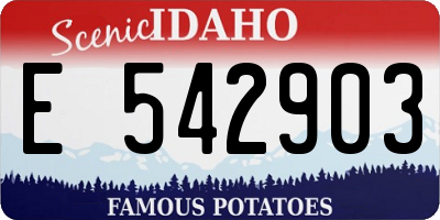 ID license plate E542903