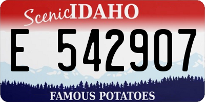 ID license plate E542907