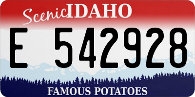 ID license plate E542928