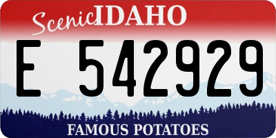 ID license plate E542929
