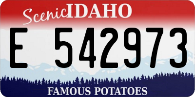 ID license plate E542973