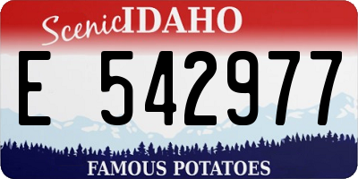 ID license plate E542977