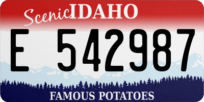ID license plate E542987