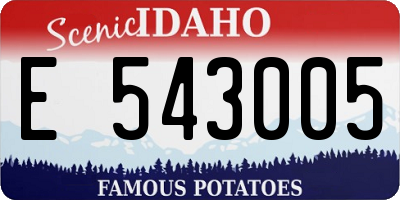 ID license plate E543005
