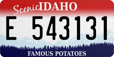 ID license plate E543131