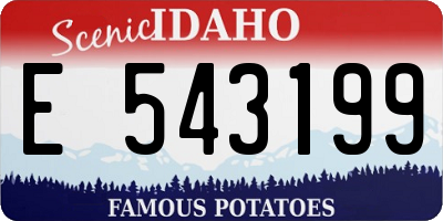 ID license plate E543199