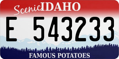 ID license plate E543233