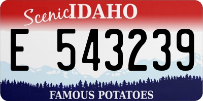 ID license plate E543239