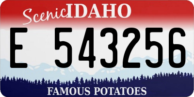 ID license plate E543256