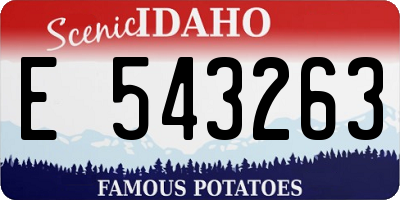 ID license plate E543263