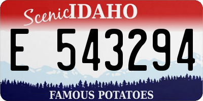ID license plate E543294
