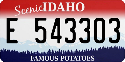 ID license plate E543303