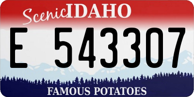 ID license plate E543307