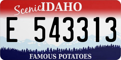 ID license plate E543313