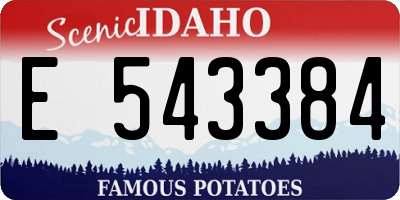 ID license plate E543384