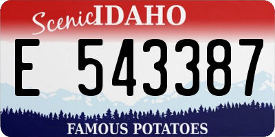 ID license plate E543387
