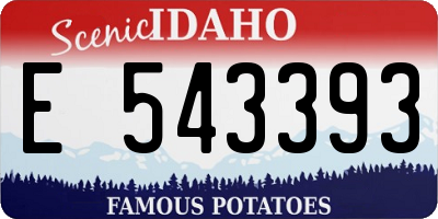 ID license plate E543393