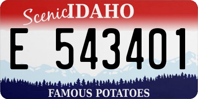 ID license plate E543401