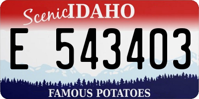 ID license plate E543403