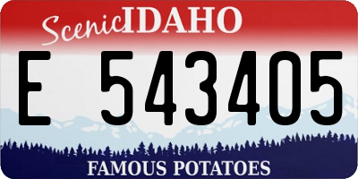 ID license plate E543405