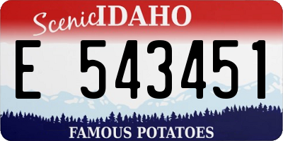 ID license plate E543451