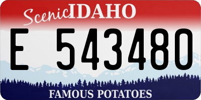 ID license plate E543480