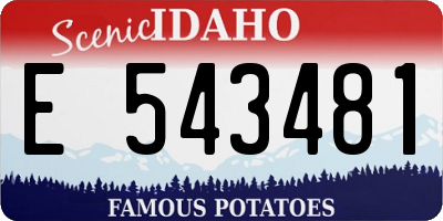 ID license plate E543481