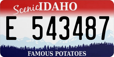 ID license plate E543487