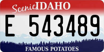 ID license plate E543489