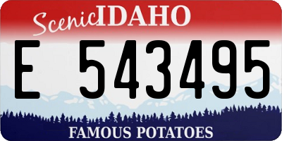 ID license plate E543495