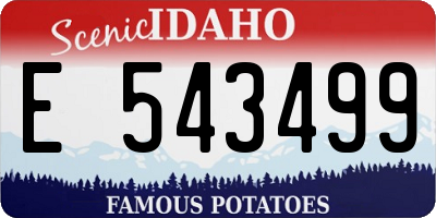 ID license plate E543499