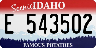 ID license plate E543502