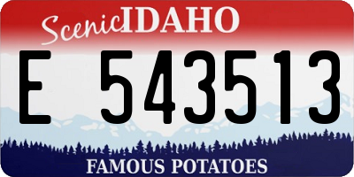 ID license plate E543513