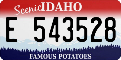 ID license plate E543528