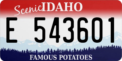 ID license plate E543601