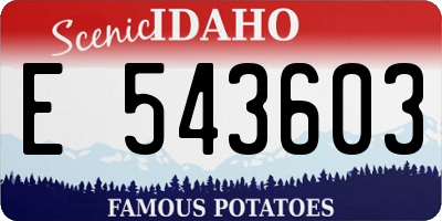 ID license plate E543603