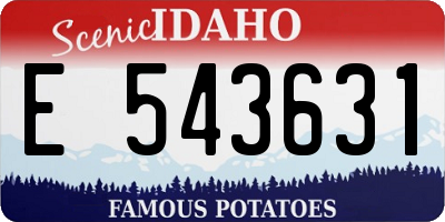ID license plate E543631